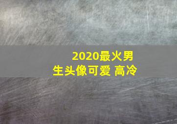 2020最火男生头像可爱 高冷